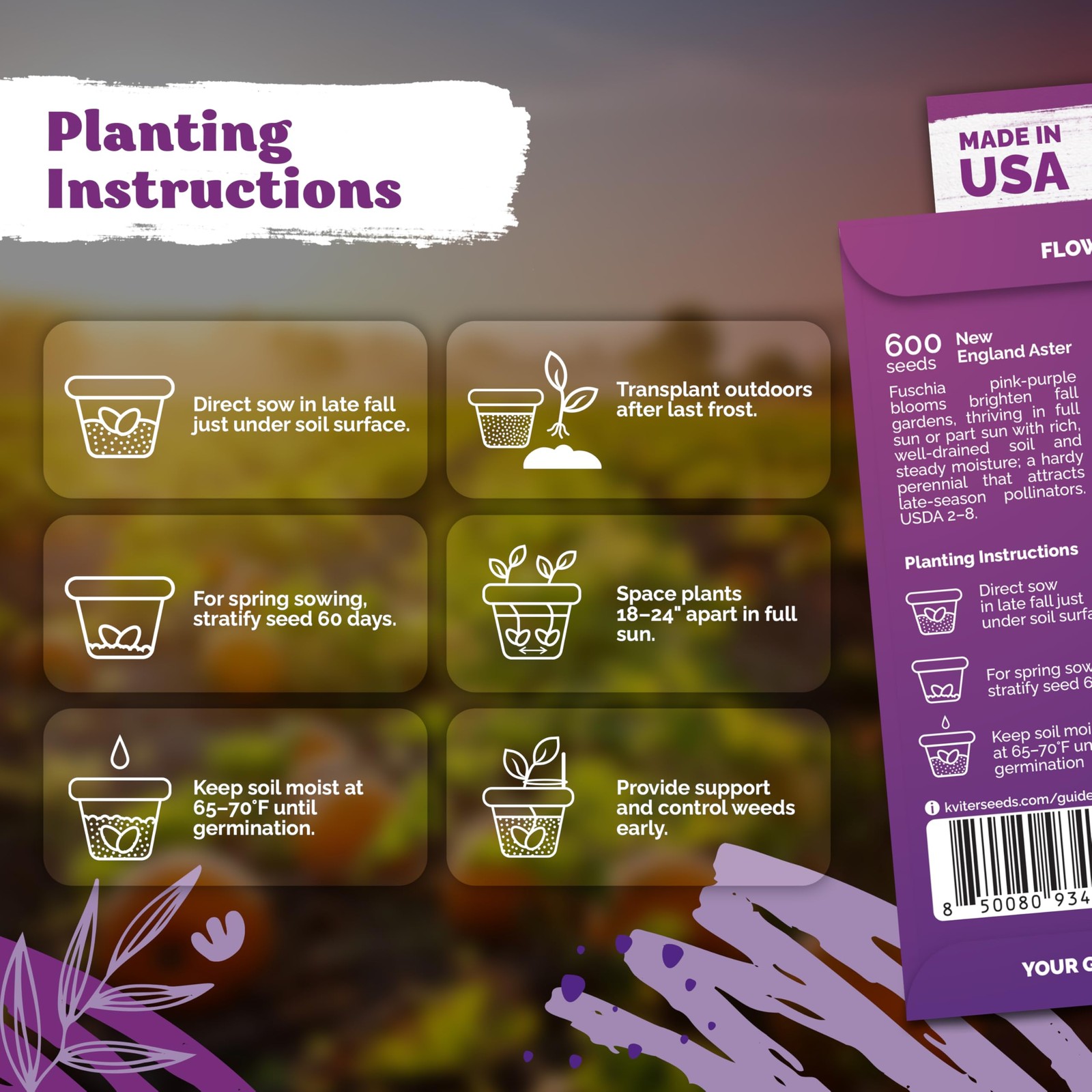 KVITER 600 New England Aster Seeds For Planting (Aster novae)