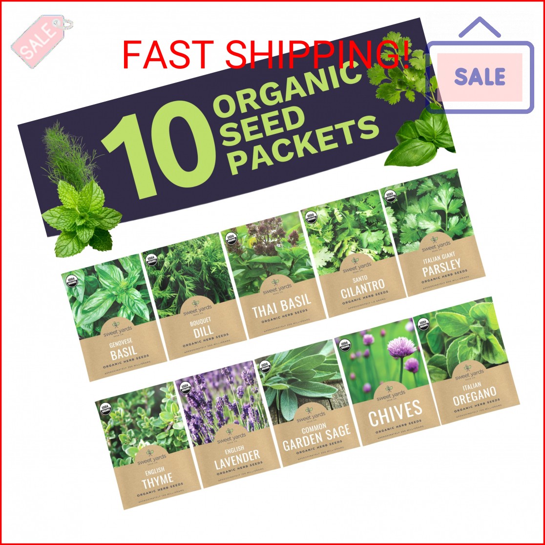 Organic Herb Seeds Variety Pack – 10 Individual Packs – 2026 Season – Basil, Cil