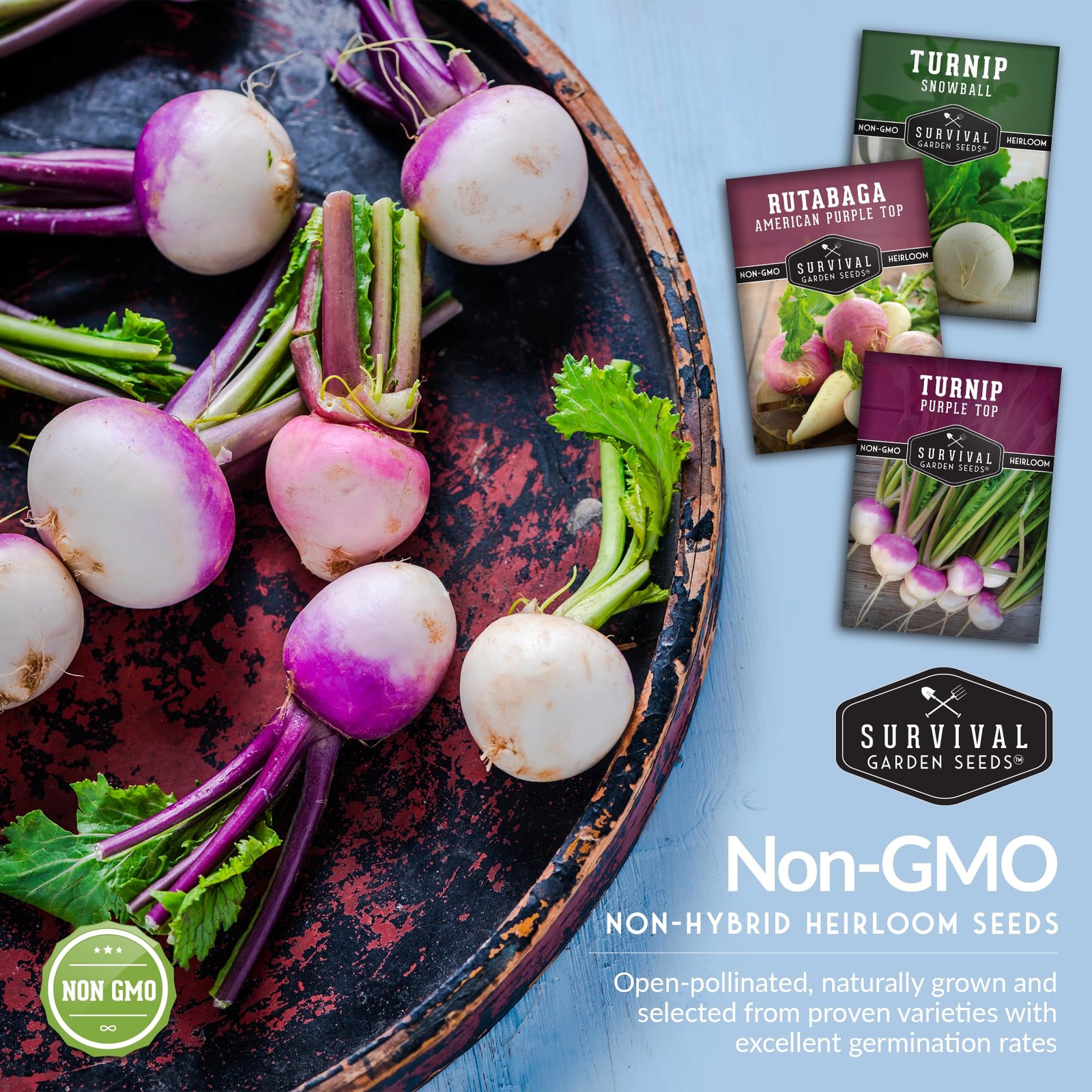 Turnip & Rutabaga Seeds Collection – 3 Varieties for Fall & Spring Multicolor