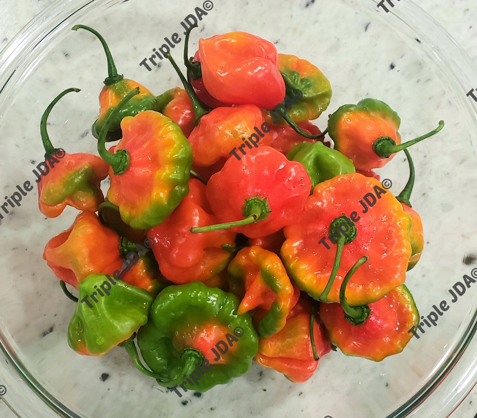 Aji Dulce de Puerto Rico 75 Fresh Seeds Capsicum Chinense Sweet Pepper