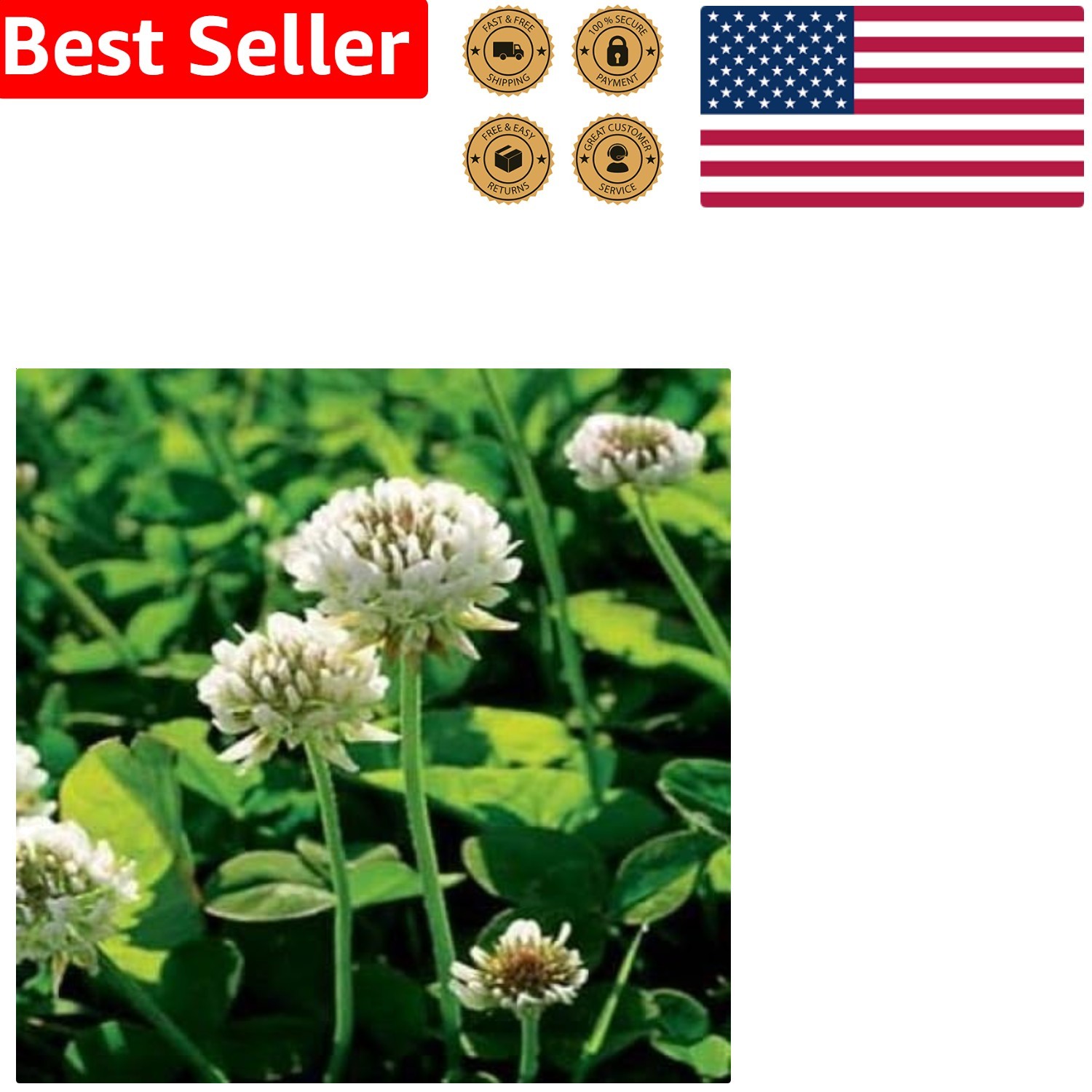 Versatile 2 lbs. White Clover Seeds – Perfect for Erosion Control & Ground Cover