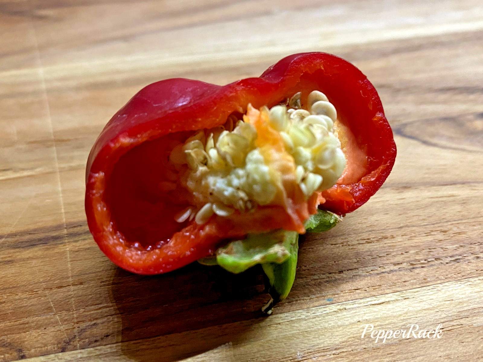 RARE✿ NEW! Italian Heirloom Ralph Thomson’s Squash Hot Pepper 15+ Seeds