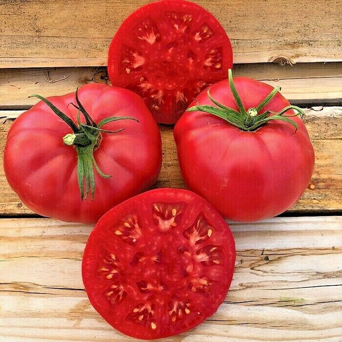 51+PINK PONDEROSA TOMATO Seeds Organic Heirloom Vegetable Garden Container Easy