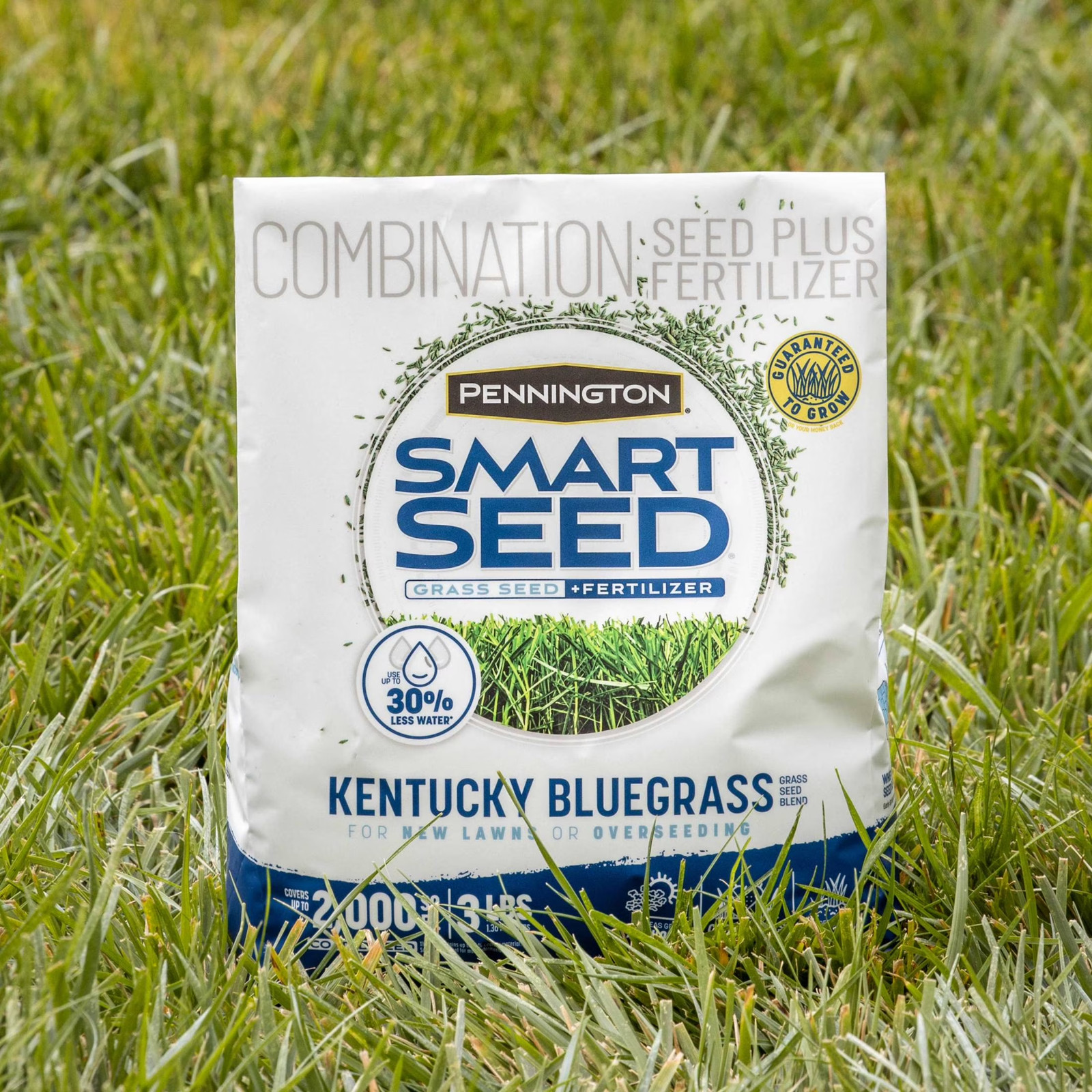 Smart Seed Kentucky Bluegrass Grass, Lawn Seed Grass for Sun to Partial Shade, 3