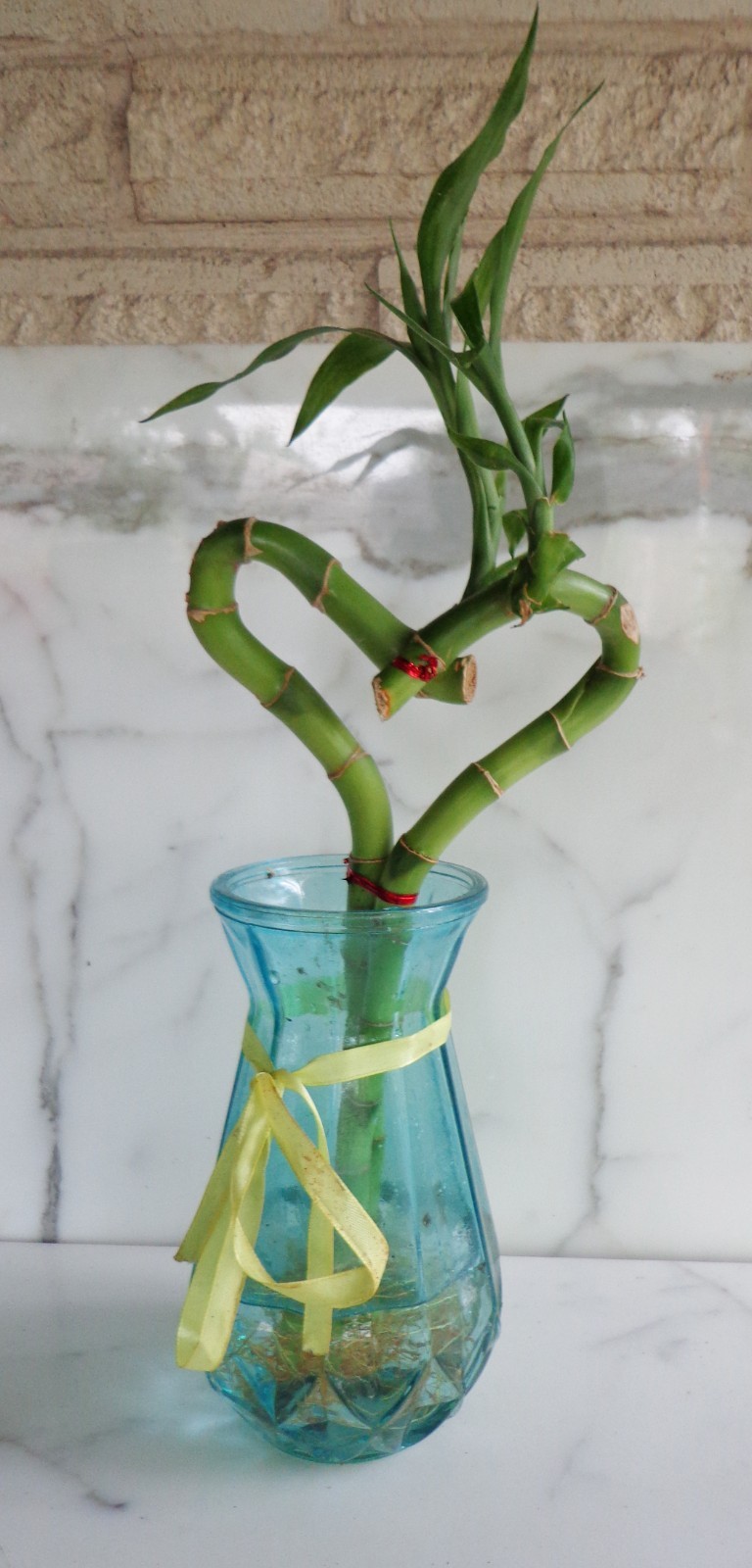 2 of LUCKY BAMBOOS Roots design HEART 12 inches (only plants, no vase)