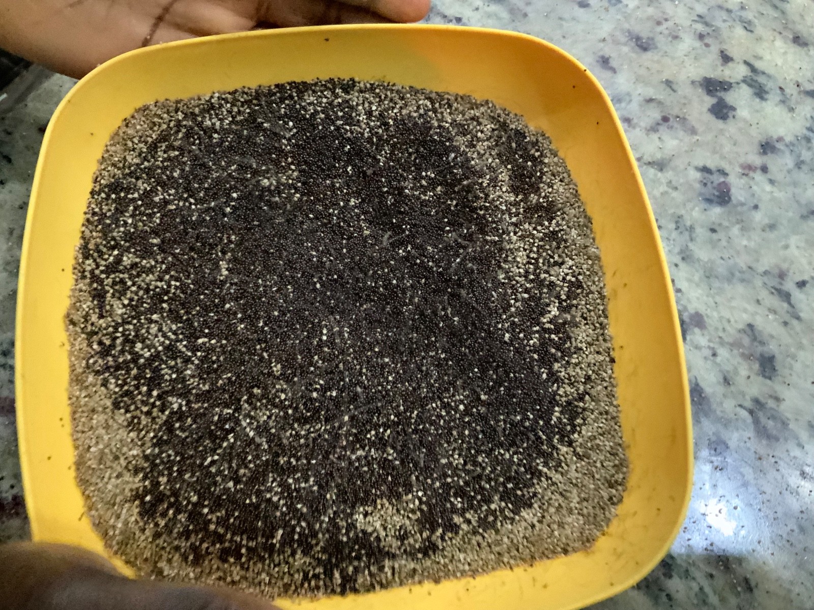 Efo Tete (Green Amaranth) — 500‑Seeds