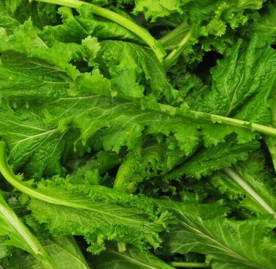 Spicy Brown Mustard Greens Seeds | Brassica Lettuce Collards Green Seed 2024