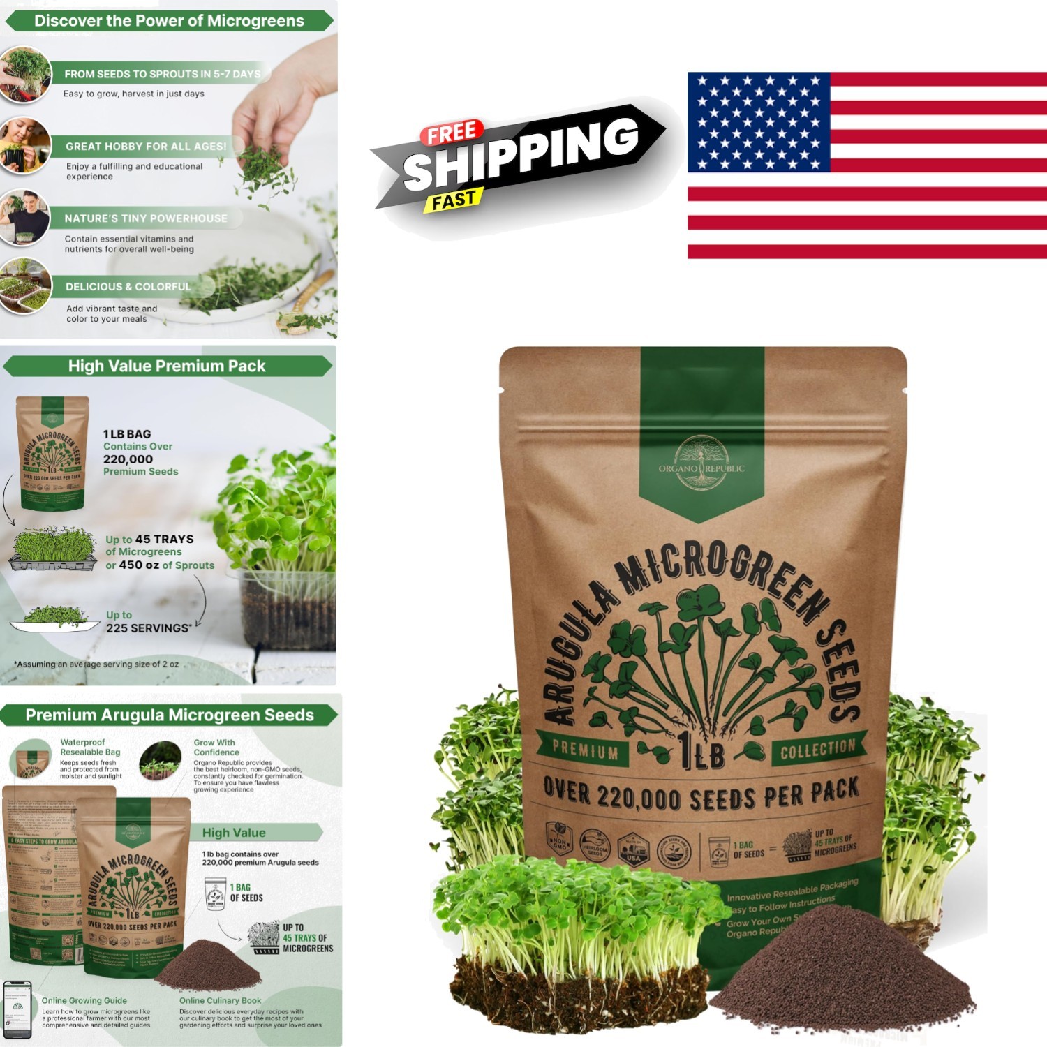 Arugula Sprouting Seeds 1lb Non GMO Heirloom High Germination Rate Fresh Greens