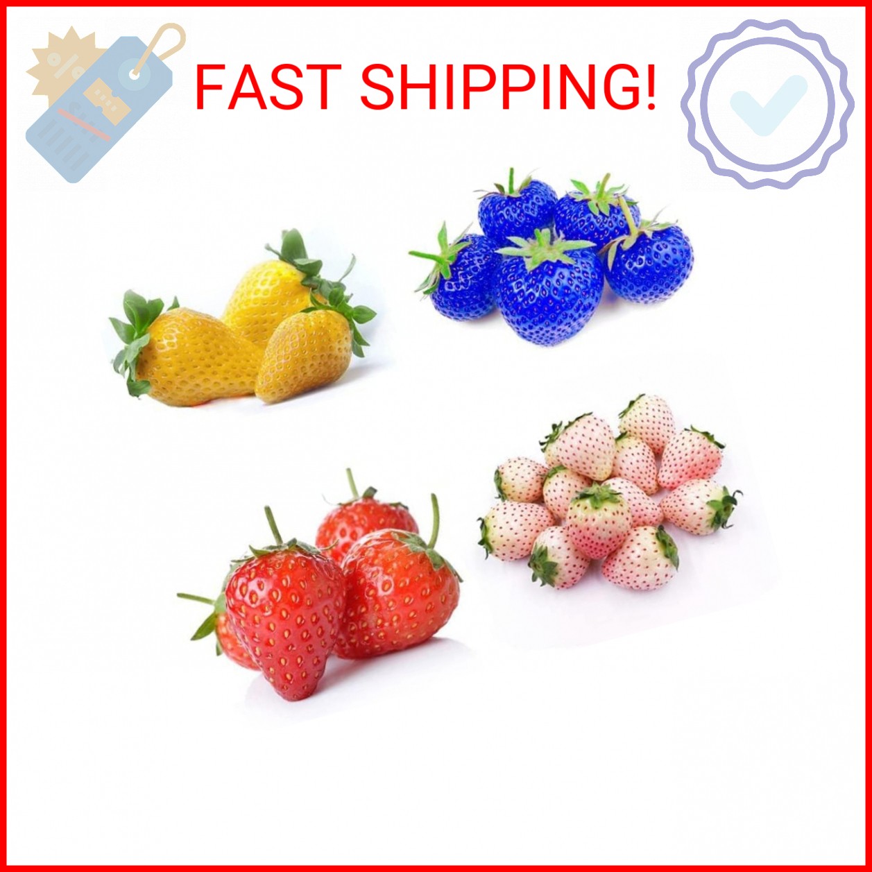 800 Mixed Strawberry Seeds – 4 Colors – Non-GMO Heirloom Perennial Seeds for Pla