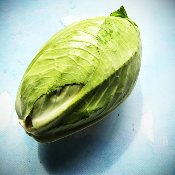 Early Jersey Wakefield Cabbage Seeds – 1000+ Count – For 2026 Planting Pointed
