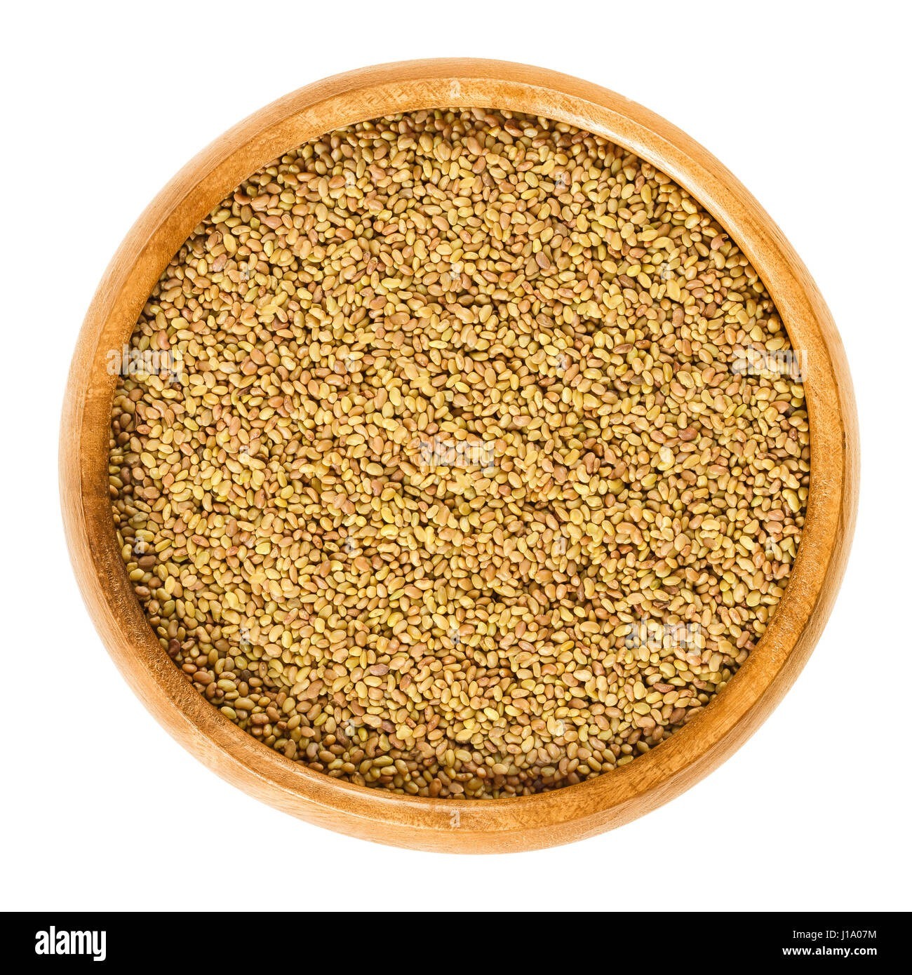 400+ Organic Medicago Hispida Seeds Shanghai Alfalfa 上海草头菜金花菜种子2026
