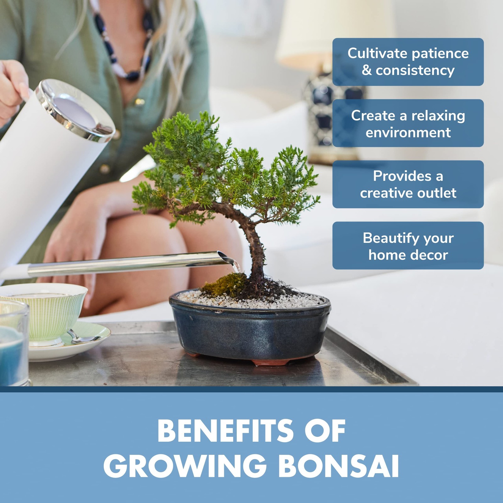 Bonsai Tree Seed Starter Kit – Mini Bonsai Plant Growing Kit, 4 Types of Seed…