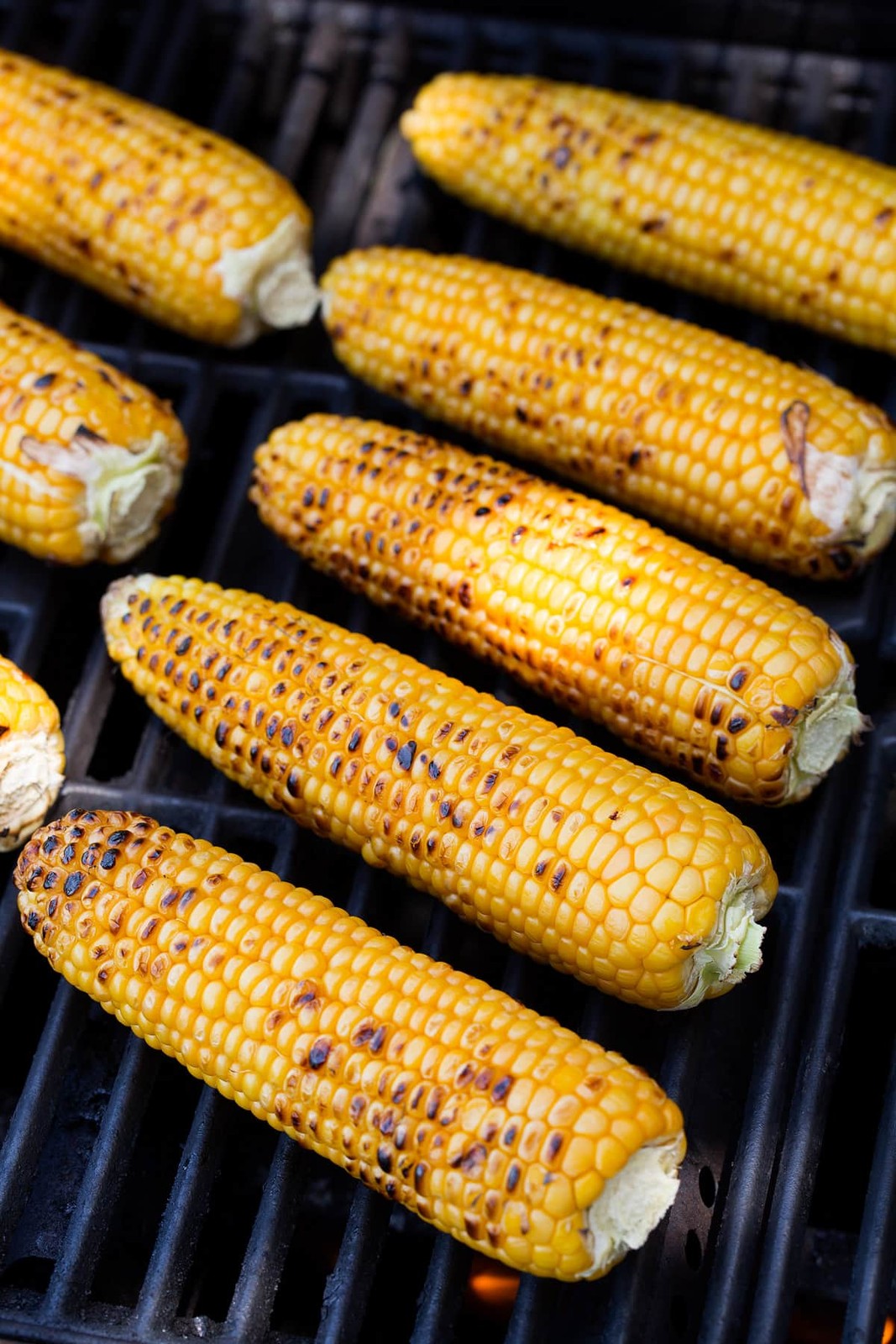 Kandy Korn Yellow Sweet Corn Seeds | Red Husk EH Hybrid Untreated Vegetable 2024