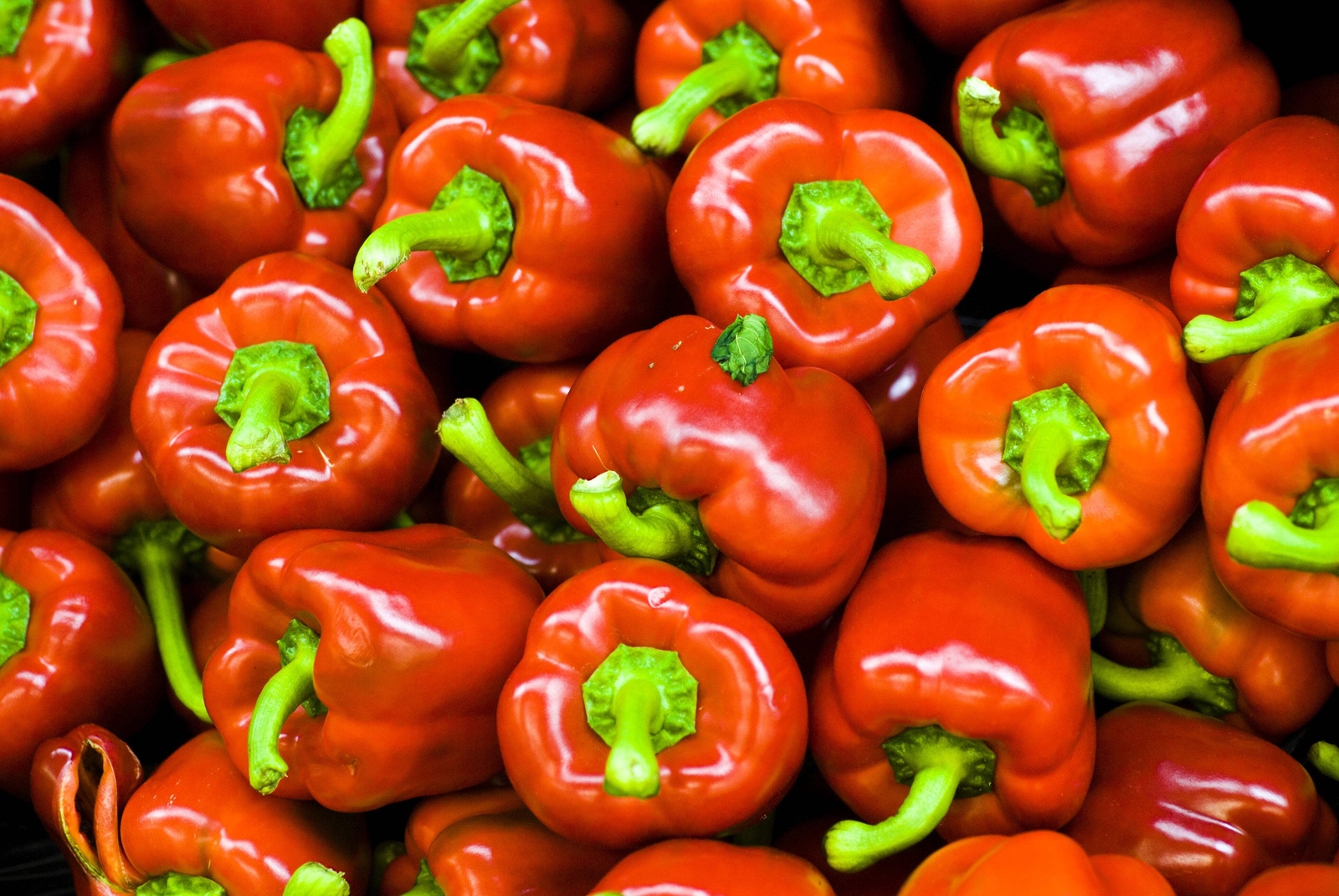 100 PIMENTO PEPPER Red Sweet Pimientio Italianelle Roasting Frying Capsicum Seed