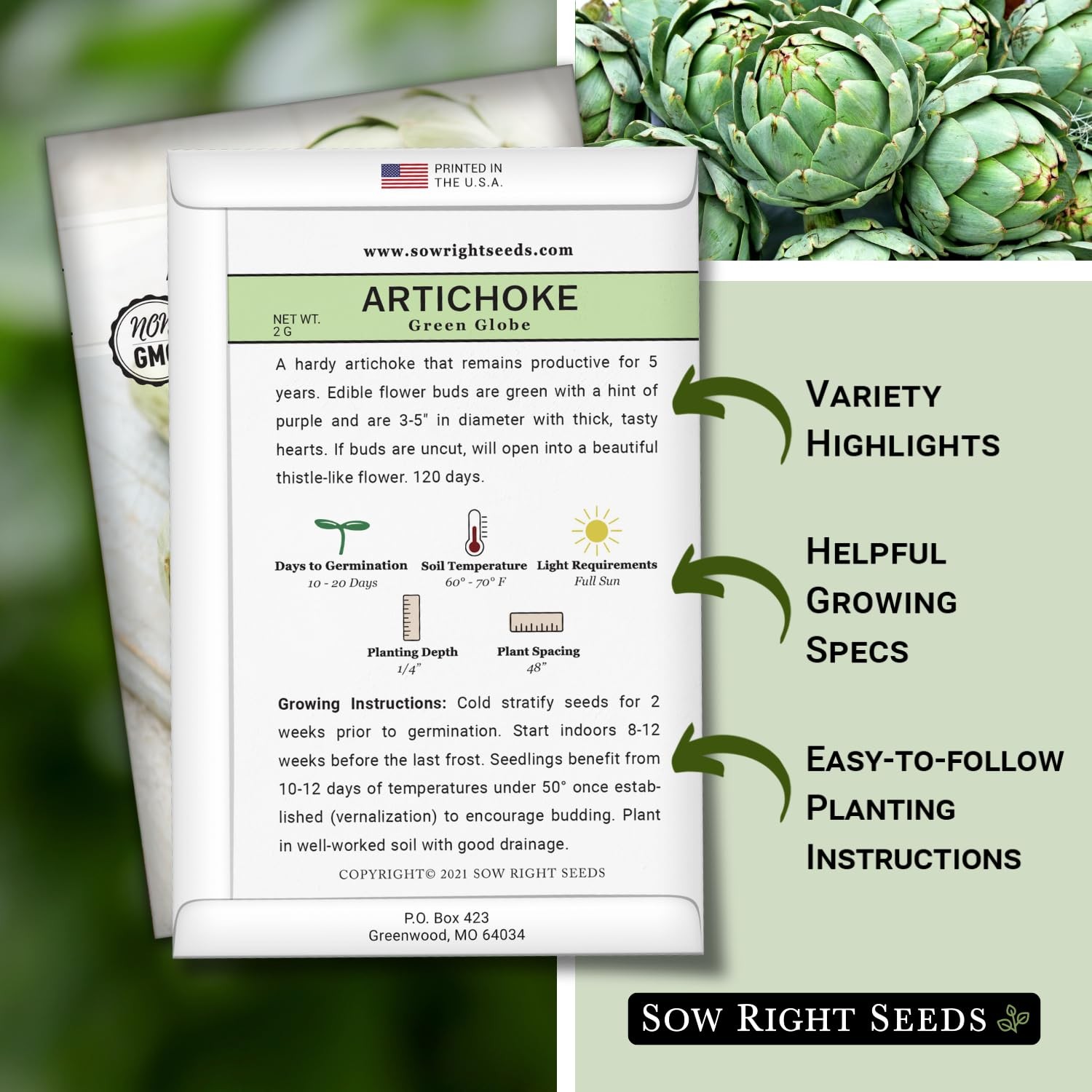 Artichoke Green Globe Seeds – Non-GMO Heirloom for Home Vegetable Garden
