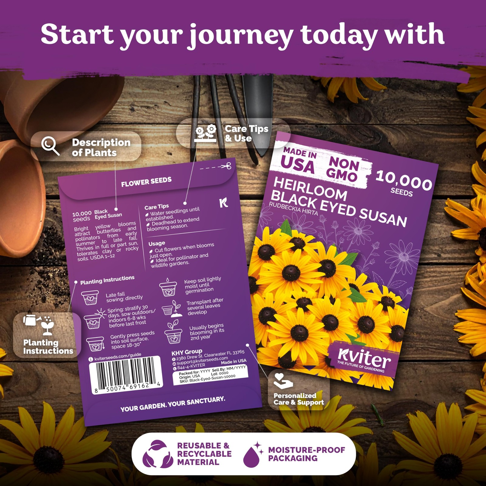 KVITER 20,000 Black Eyed Susan Seeds (Rudbeckia Hirta), 2 Pack
