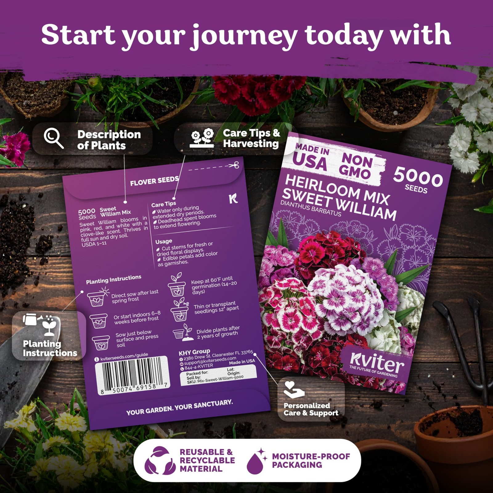 KVITER 5000 Mix Sweet William Seeds for Planting (Dianthus barbatus)