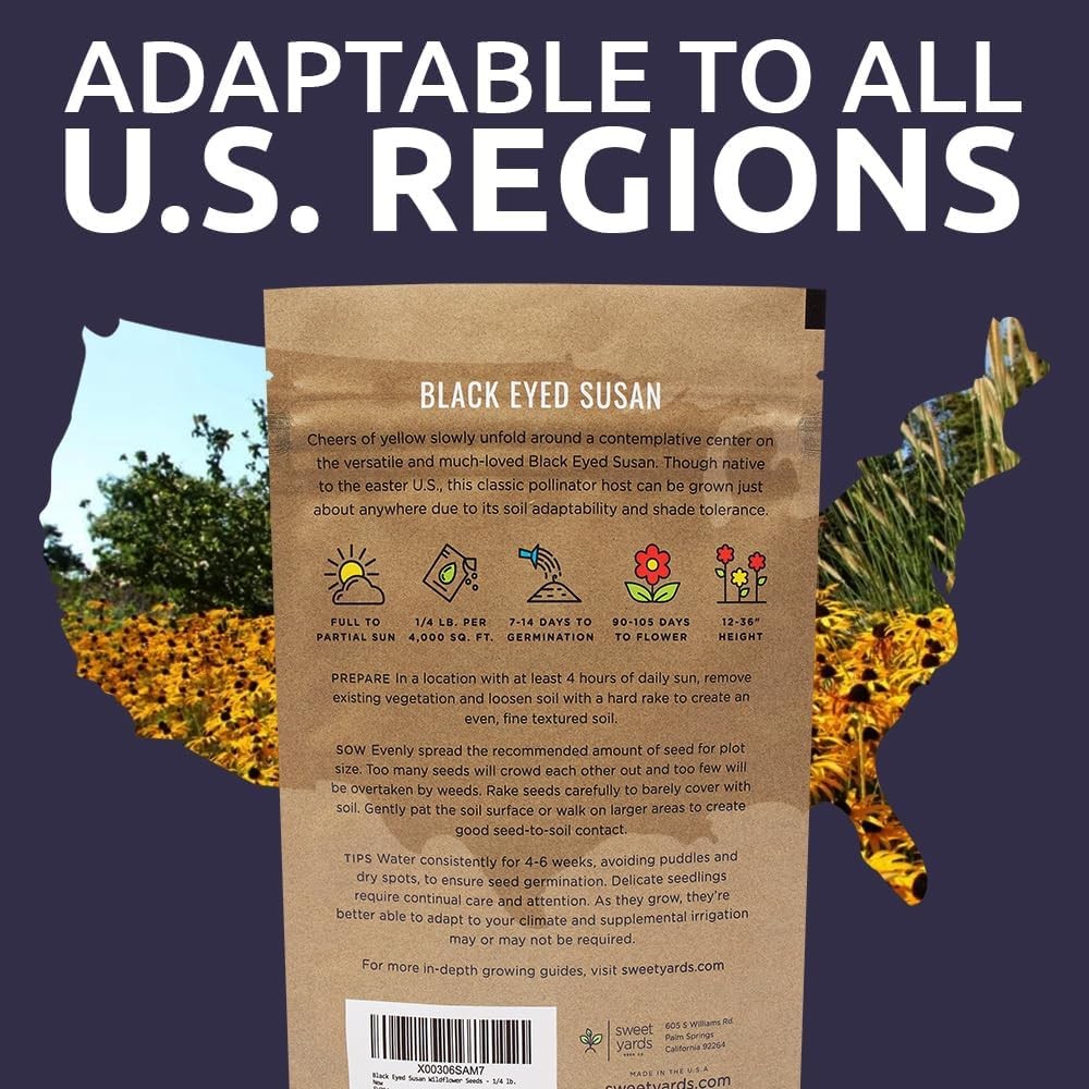 Black Eyed Susan Seeds – Bulk Quarter Pound Bag – Over 400000 Open Pollinated