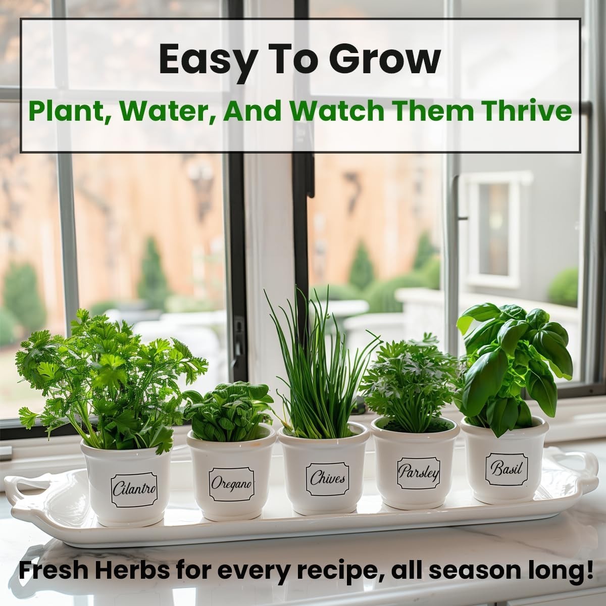 5 Variety Herb Seeds for Indoor & Outdoor Gardens – Gift of Flavor