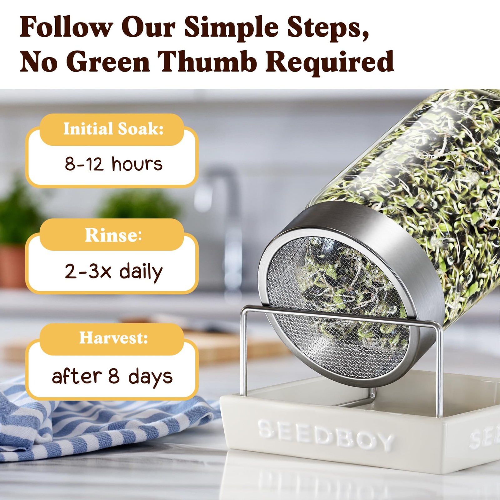 Organic Sunflower Sprouting Seeds Mix – Non-GMO, Grows 5 Quarts of Microgreens