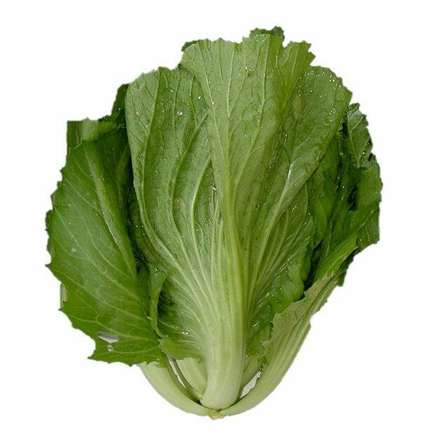 1000 seeds Chinese Mustard/Asian mustard green/mustasa /gai choy/Châu á mù tạt