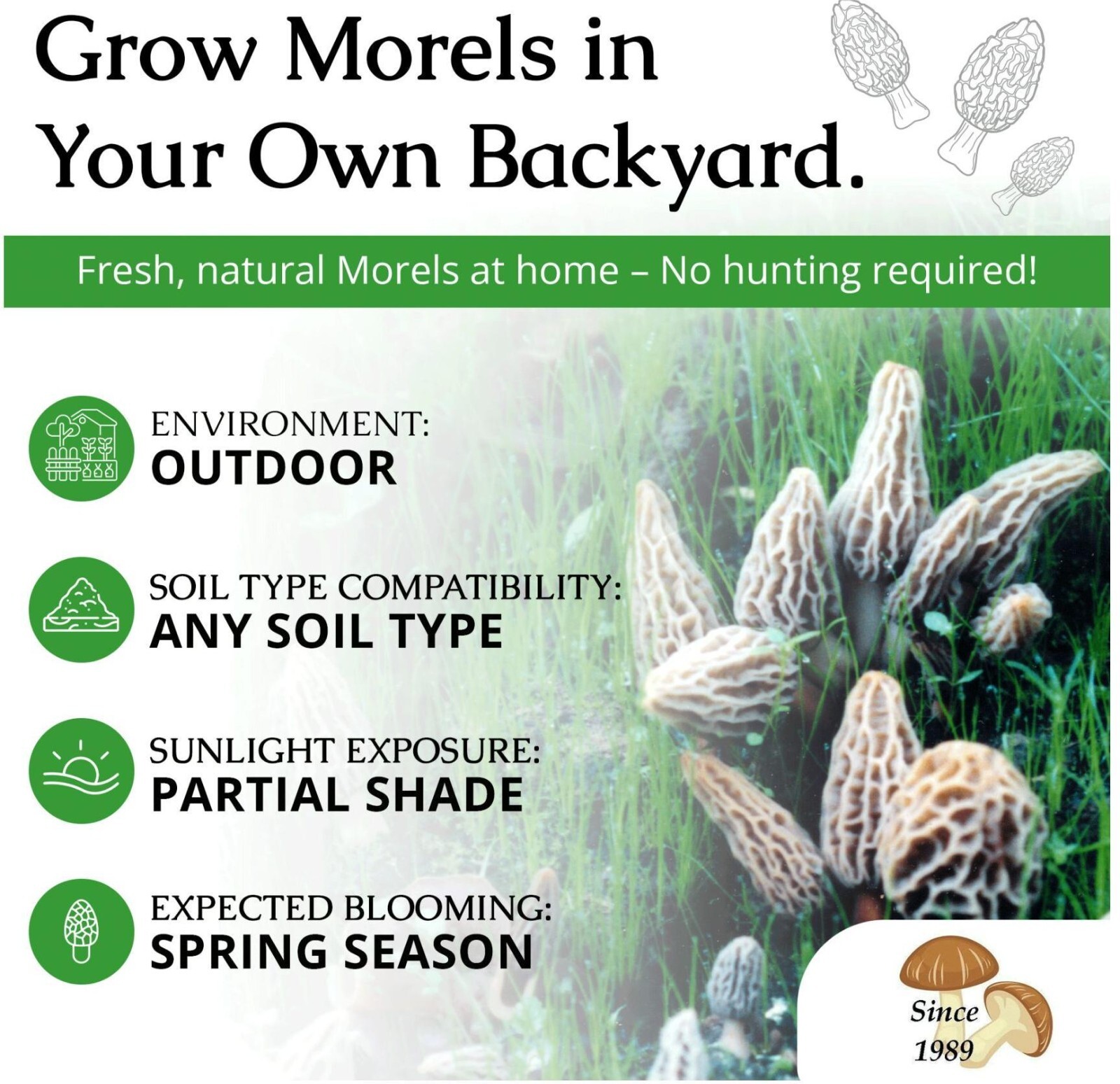 Morel Habitat Kit ® : Backyard Morel Mushroom Grow Kit – S MHK