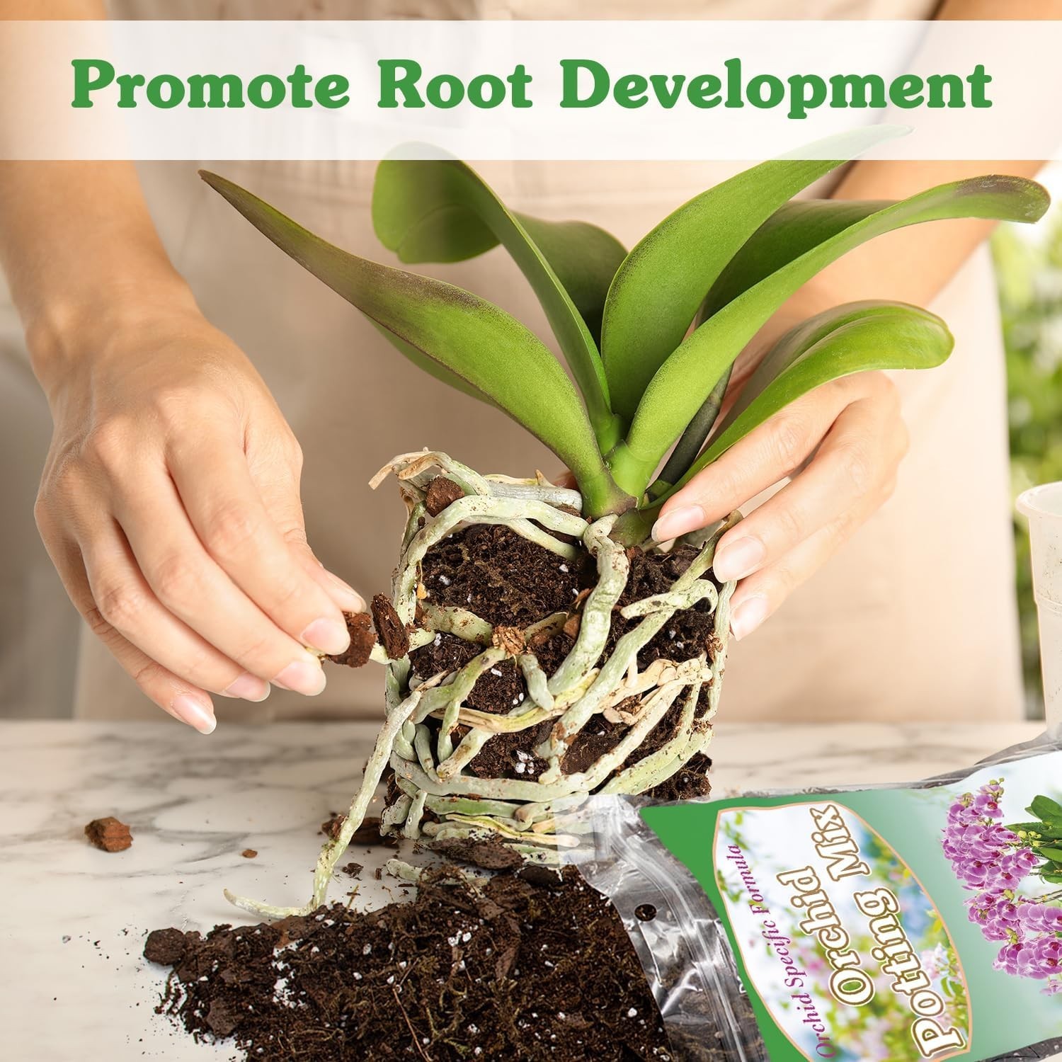 Orchid Potting Mix – Moss, Pine Bark, Coco Peat, and Perlite 1QT