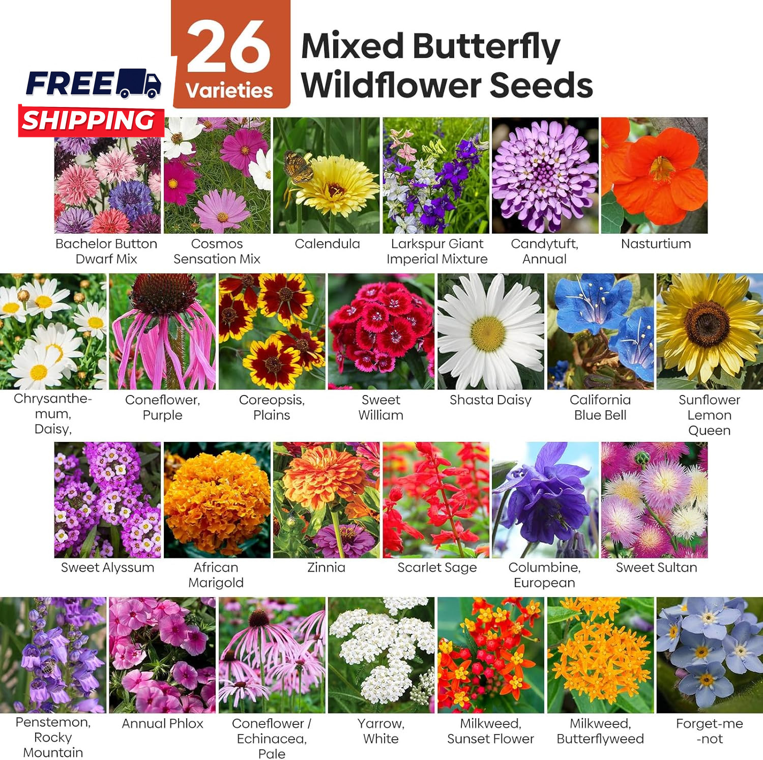 All Perennial Wildflower Seeds Bulk 1/4 Lb 100,000+ Seeds 26 Variety Mix