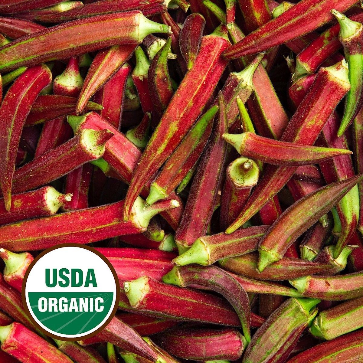 50 Organic Red Burgundy Okra Seeds – Everwilde Farms Mylar Seed Packet