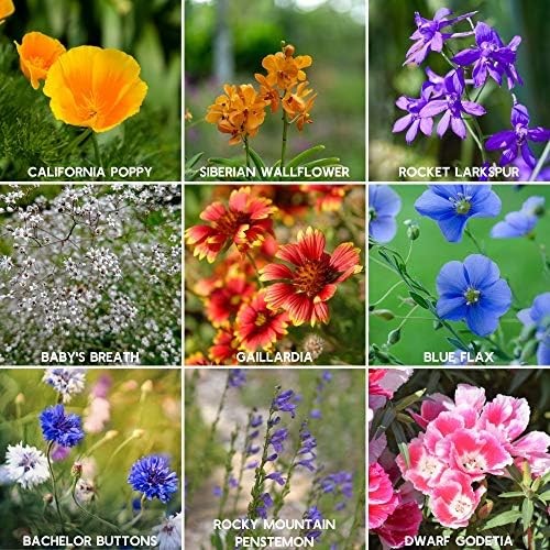 Mountain Valley Seed Co Rocky Mountain Wildflower Seeds Mix 1 Lb Seed Pouch