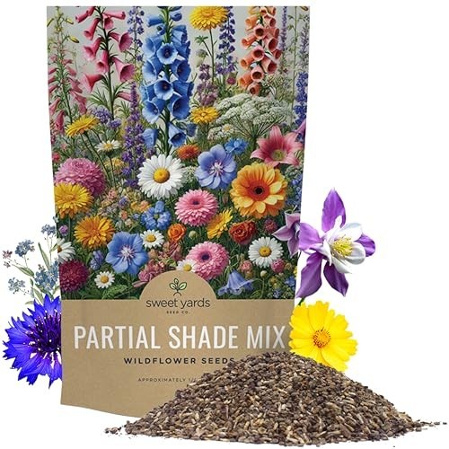 Bulk Wildflower Seeds Mix for Partial Shade – 1/4 lb, 30,000+ Open Pollinated