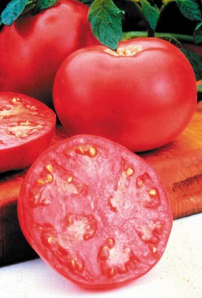 Walzer tomato seeds RARE non-gmo heirloom open pollinated