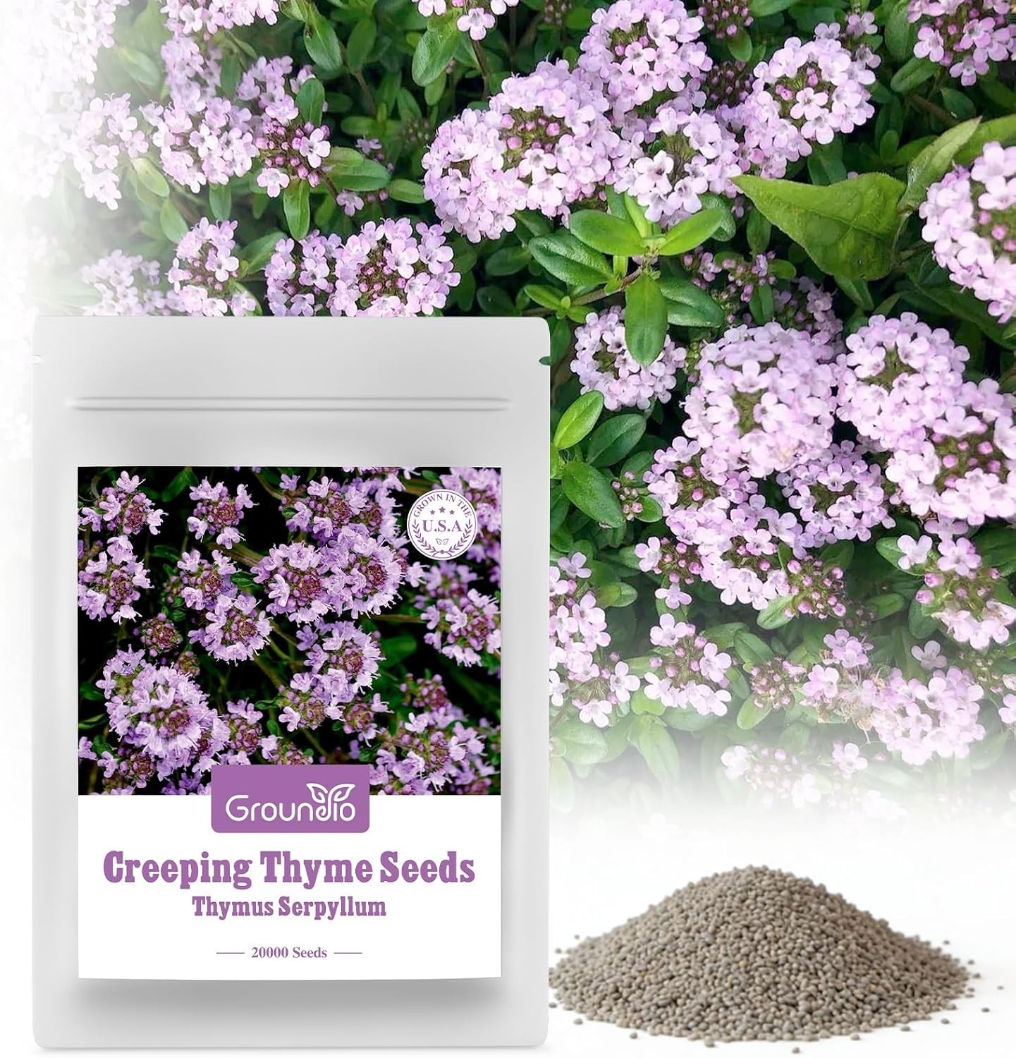 20000+ Creeping Thyme Seeds Ground Cover Plant, Perennial Thyme Flower Seeds …