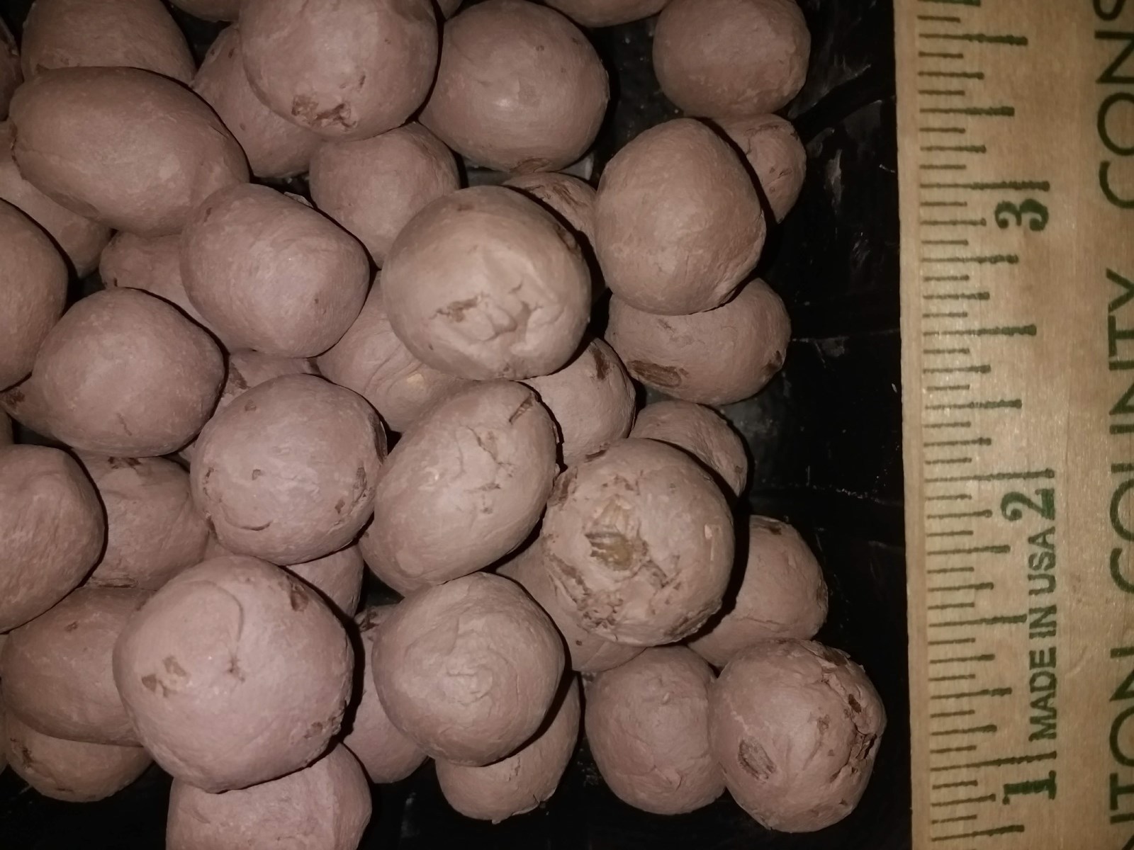 50 Organic Milkweed Seed Balls – Enhance Garden, Support Monarch Butterflies!