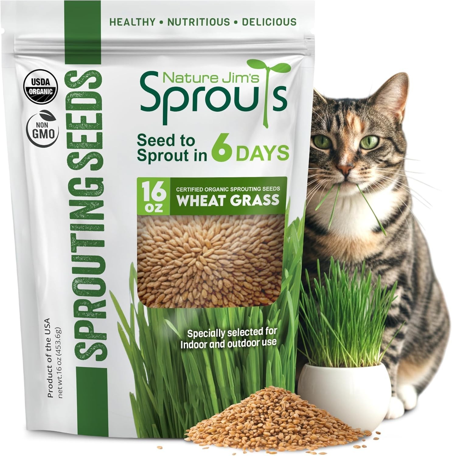 Organic Wheat Grass Seeds – Non-GMO, Cat Grass Treats Sprouting Seeds – Resea…