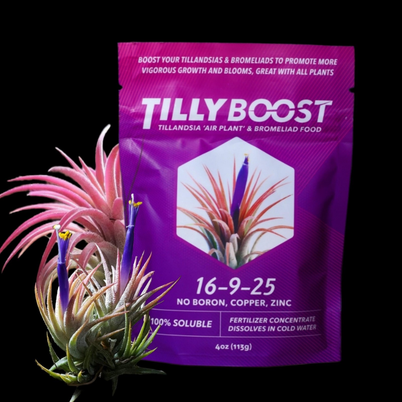 2 Year Supply Air Plant Food, Fertilizer For Beautiful Tillandsia