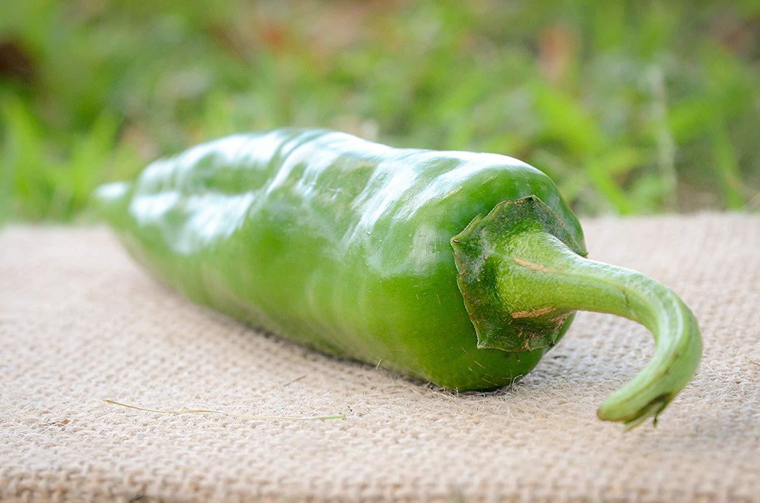 Numex Sandia New Mexico Hatch Chile Pepper Premium Seed Packet