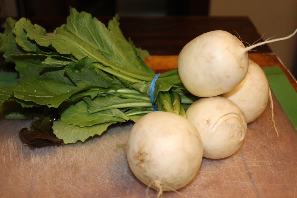 1/8-oz 1400 HAKUREI Japanese Hybrid Turnip seeds; a.k.a. SALAD TURNIP 白嶺蕪菁かぶ
