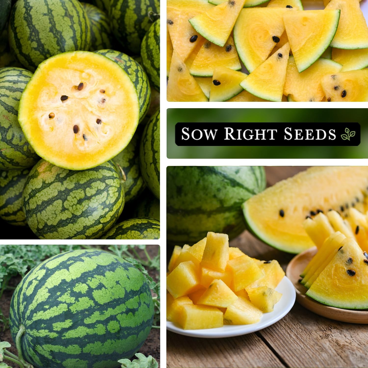 Sow Right Seeds – Yellow Crimson Sweet Watermelon Seed for Planting –