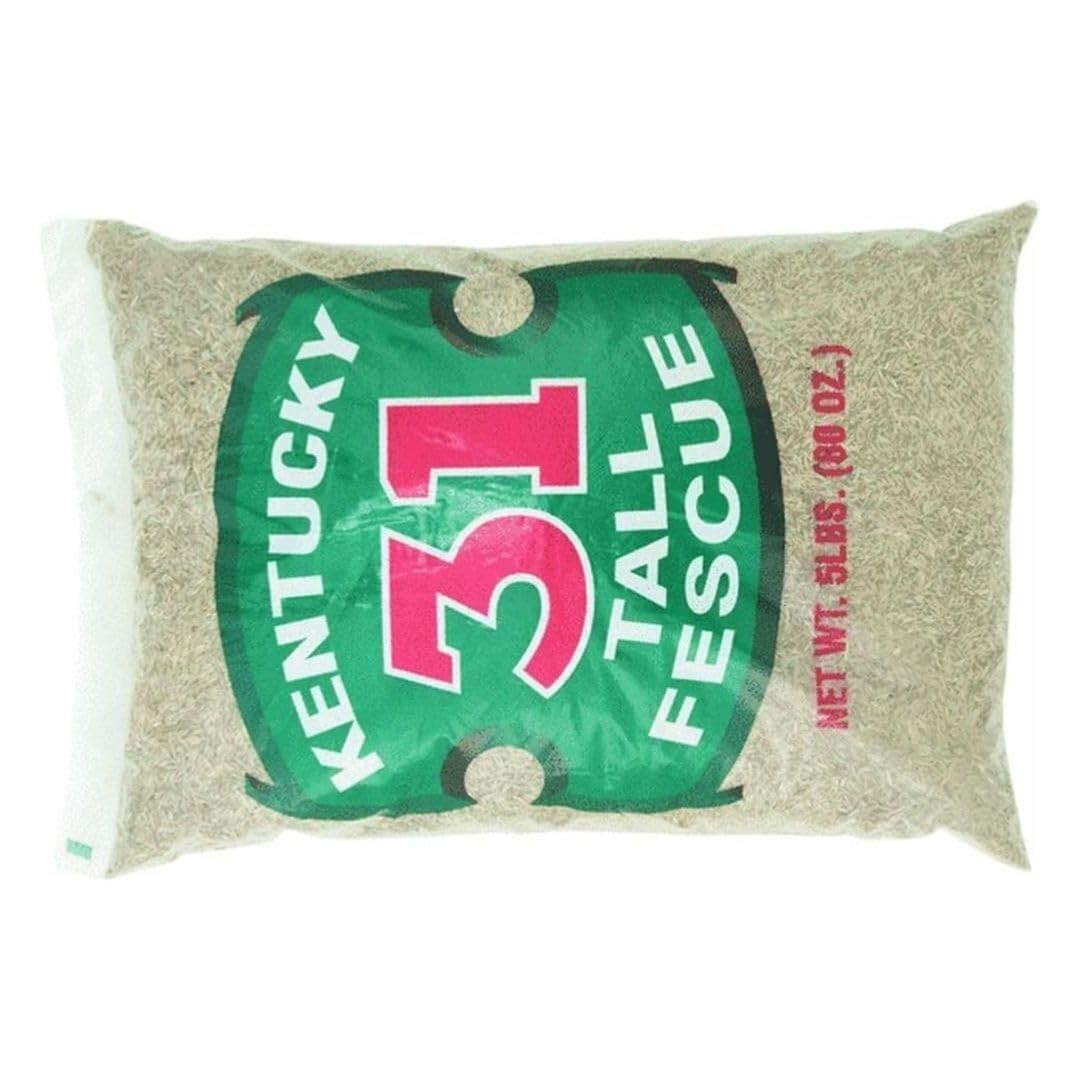 Barenbrug Tall Fescue Grass Seed 5 lb. 5 Lb., Green
