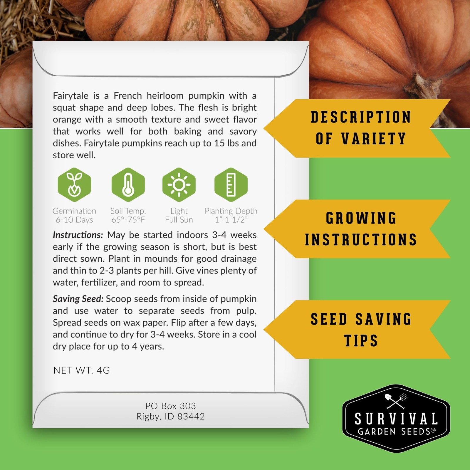 Fairytale Pumpkin Seeds for Planting | Musquée de Provence Heirloom Orange