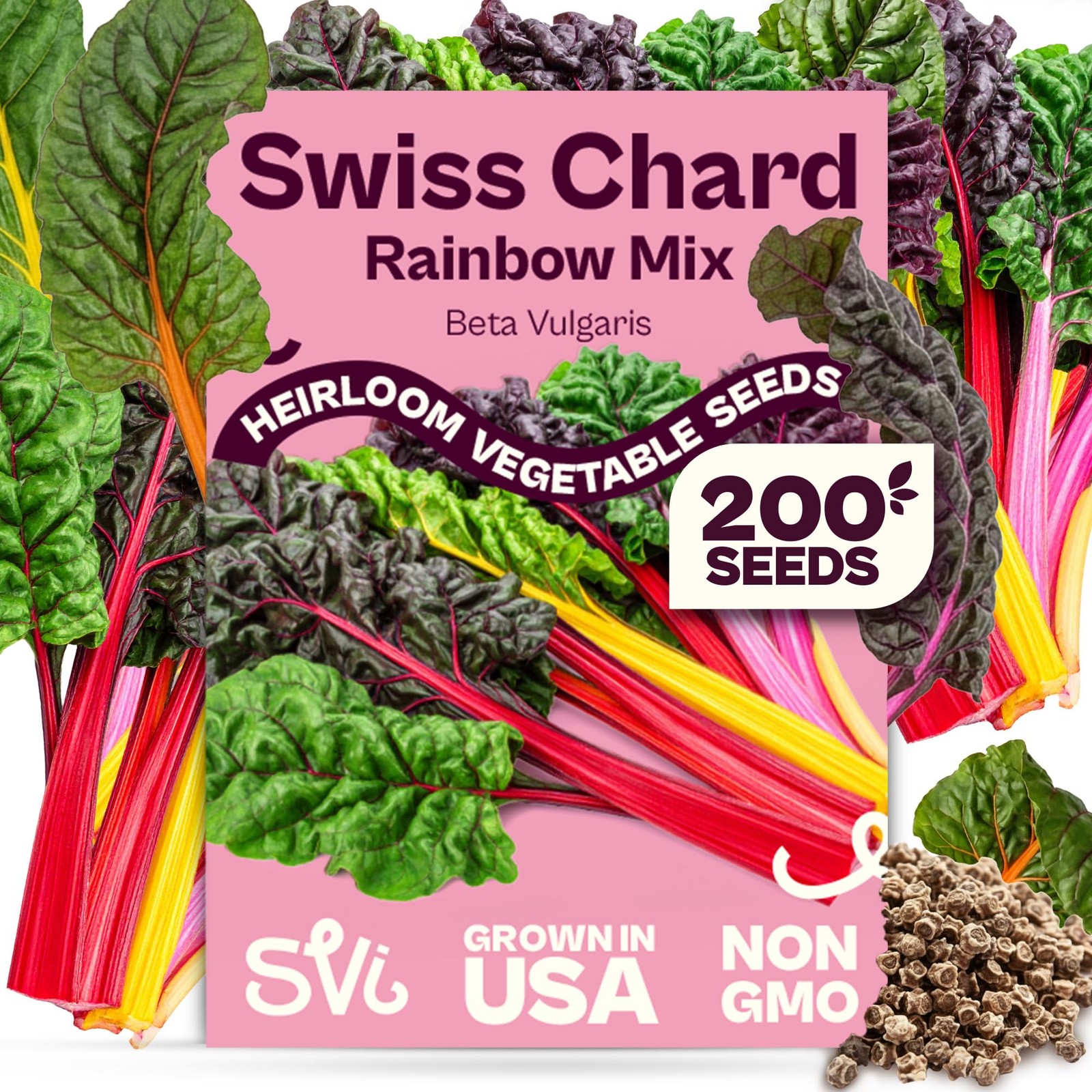 200 Rainbow Mixture Swiss Chard Seeds Beta Vulgaris VAR. Cicla Five Color Si…