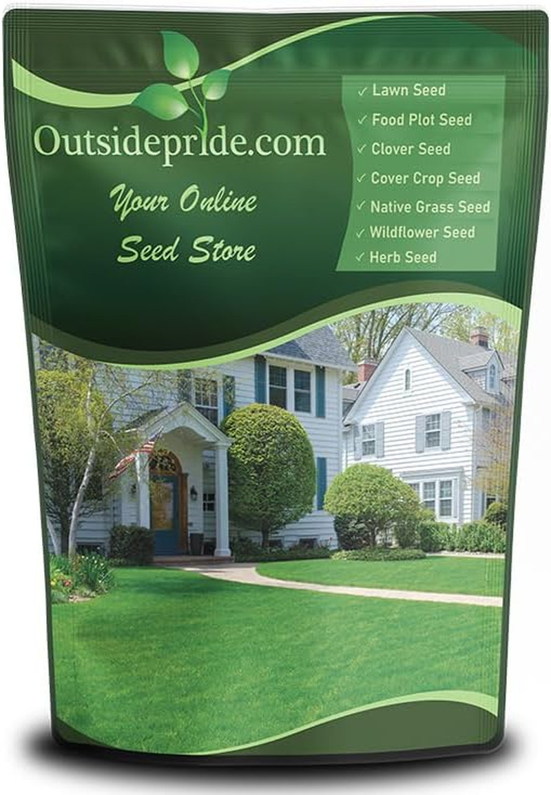 Outsidepride Fireball & Hattrick Rye Grass Seed Blend – 5 Lbs. Wear Tolerant, Fi