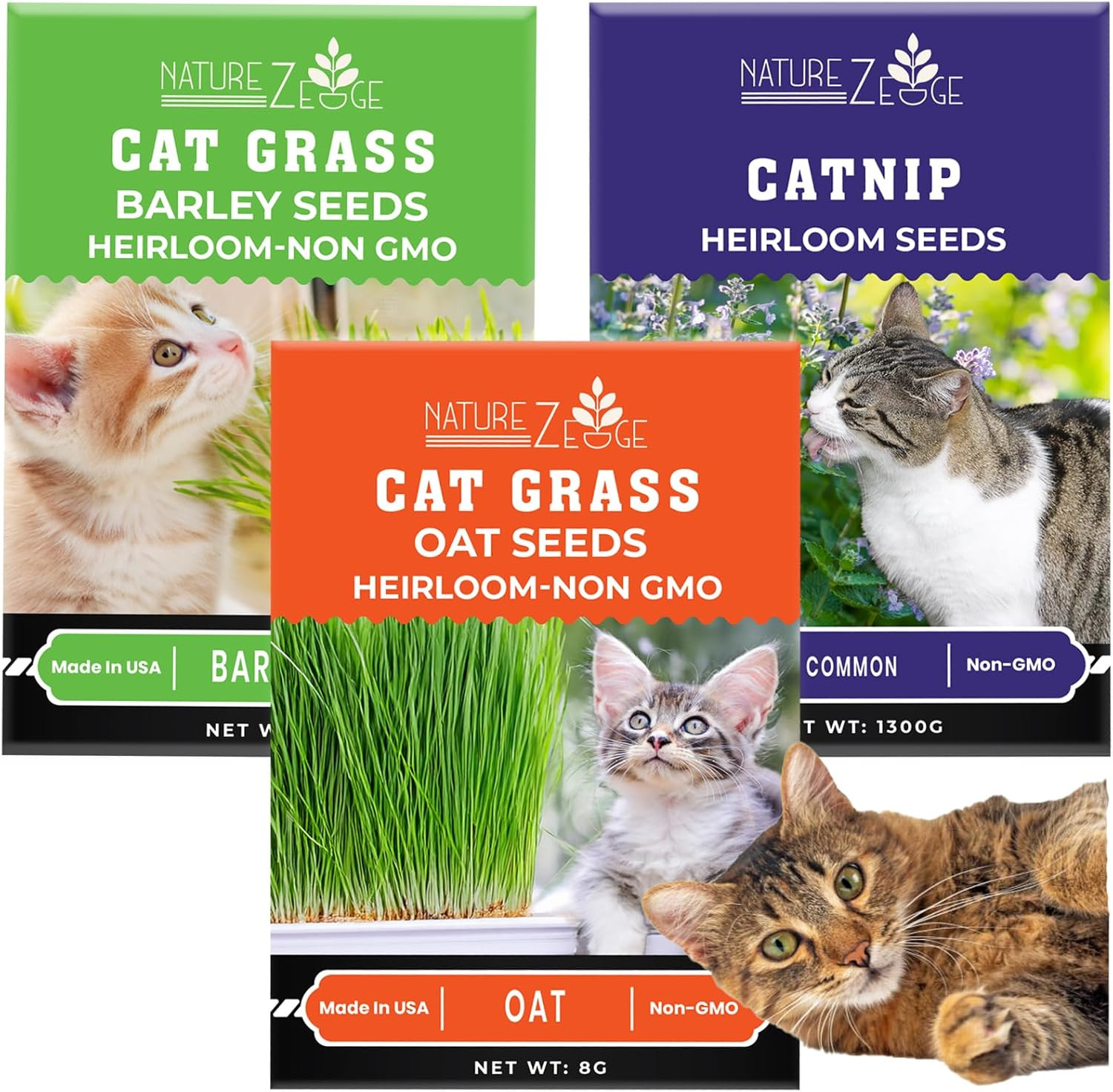 Cat Grass Seeds & Catnip Seeds – 3 Pack Variety Kit, Cat Grass for Indoor Cats