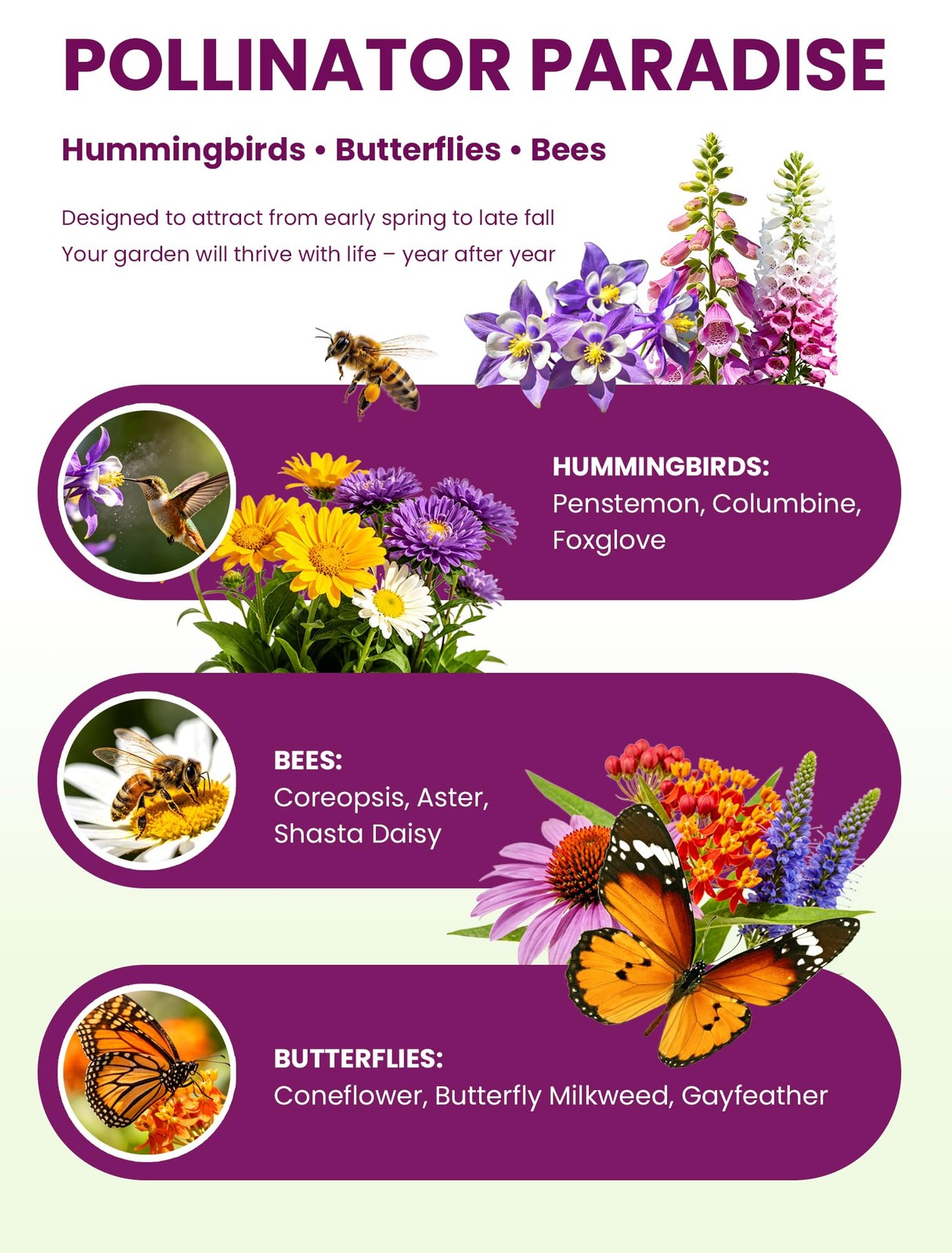 Wildflower Seeds – Perennial Paradise Mix, 21 Heirloom Species, 90,000+ Seeds…