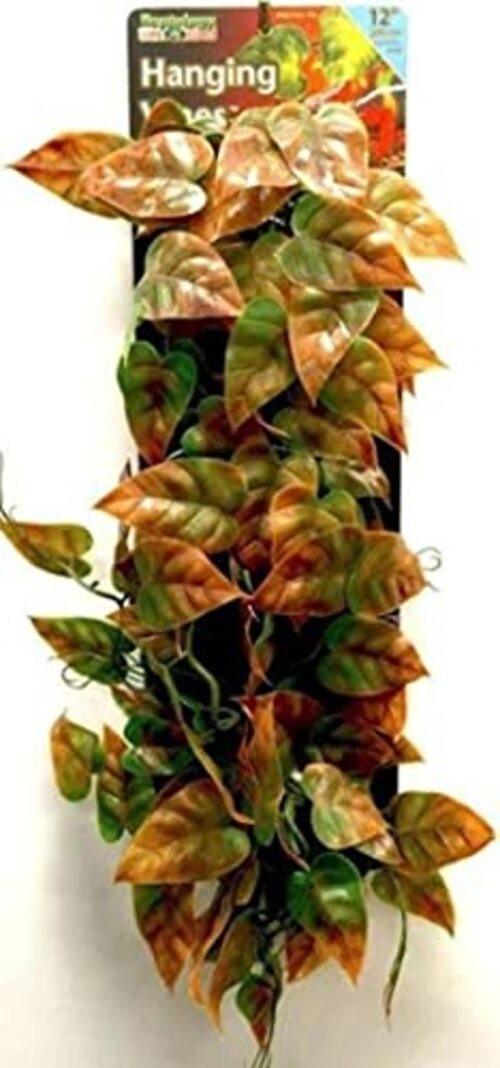 Reptology Decorative Hanging Terrarium 1 Count (Pack of 1) Green & Orange