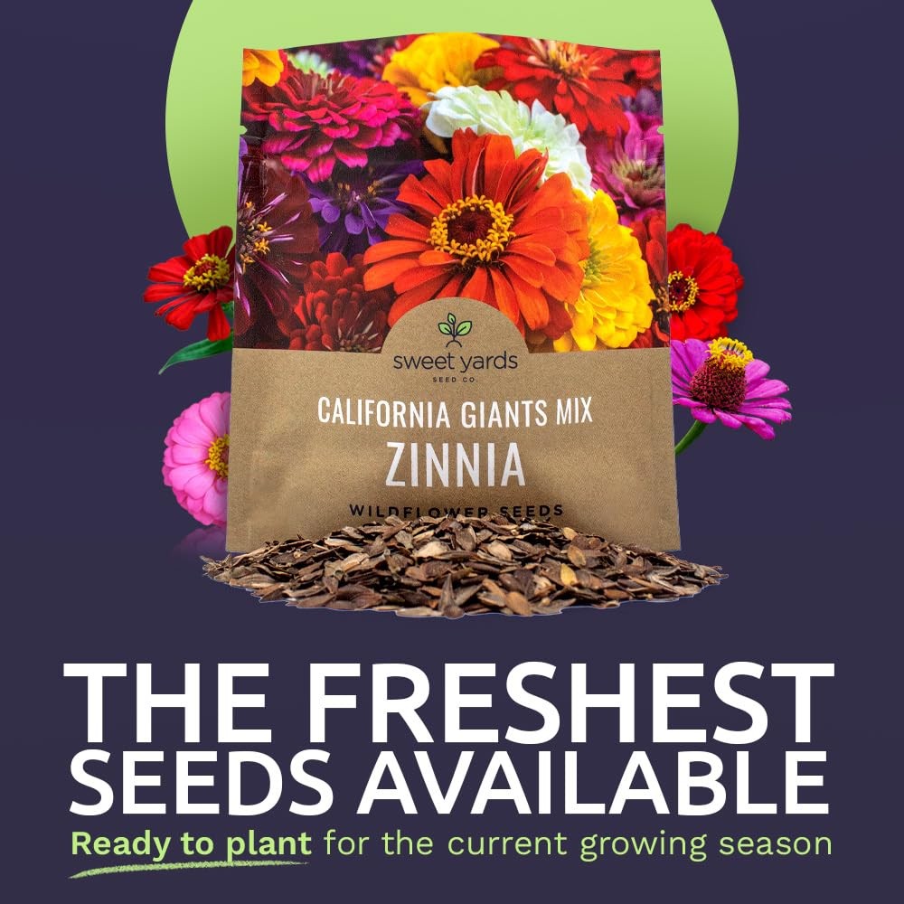 Zinnia Seeds – California Giants Mix – Large 1 1 Ounce Pouch, Multiple Colors