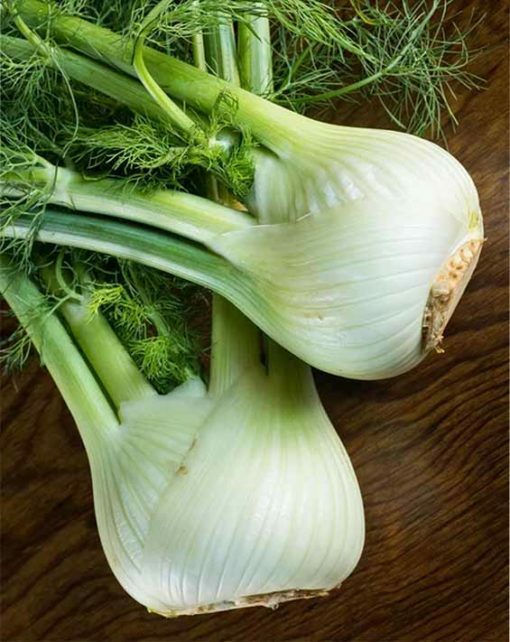 7 CULINARY herb varieties NON-GMO SEEDS GREAT in the KITCHEN ESSENTIAL SURVIVAL!