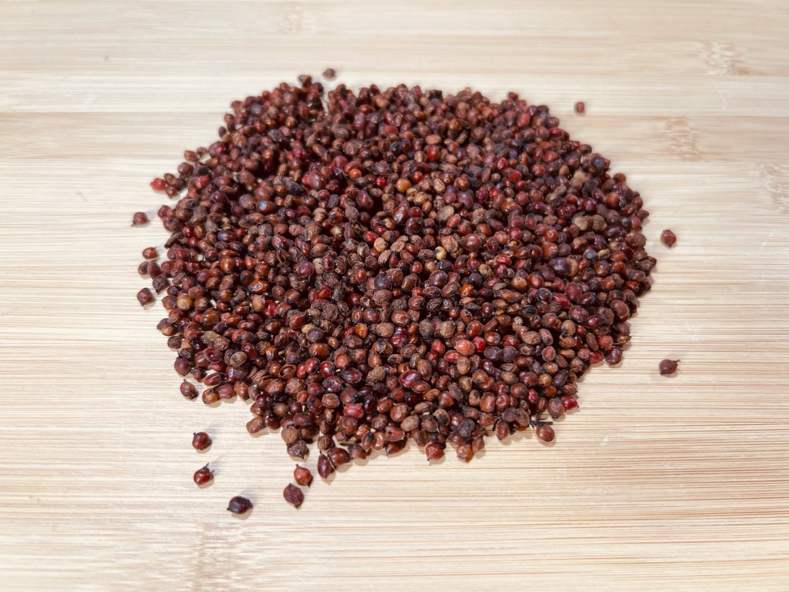 500 Winged Sumac Tree Seeds (Rhus copallinum) Flameleaf Sumac – Zones 4-9 USA