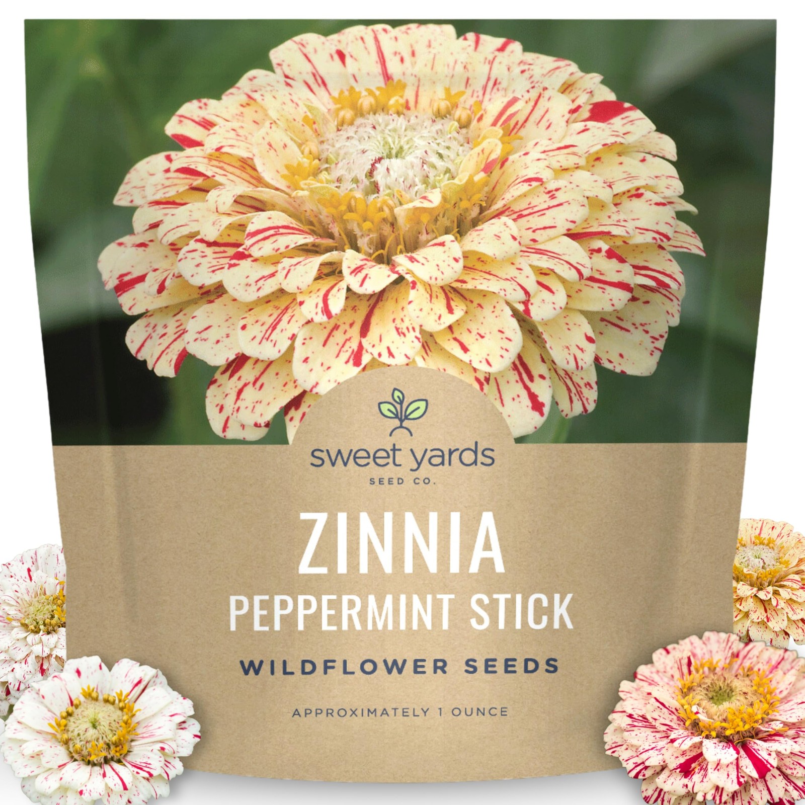 4000 PCS Zinnia Peppermint Stick Flower Seeds For Planting 1 Ounce Packet